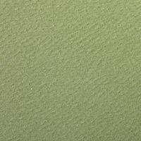 Paquet 24 feuilles Etival Color  160g 50x65 vert amande - Image 2