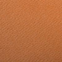 Paquet 24 feuilles Etival Color 160g 50x65 rouille - Image 2