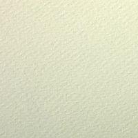 Paquet 24 feuilles Etival Color 160g 50x65 tilleul thumbnail image 2