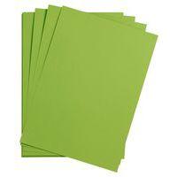 Paquet Maya 50x70cm 25 feuilles 120g vert mousse thumbnail image 2