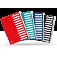 Trieur A4 12 positions en carte coloris assortis Top File+- Oxford
