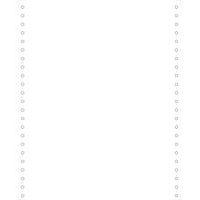 Feuilles listing blanc 240x11 4/6 1pli Bande Caroll Détachable 80g - Image principale