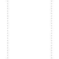 Feuilles listing blanc 240x12'' 1pli microperforations détachable 80g - Image principale