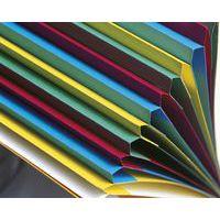 Lot de 8 Trieur HARMONIKA à fenêtres véritable 6 compart rouge thumbnail image 2