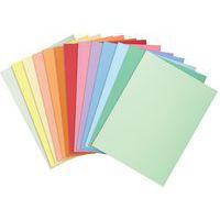 Chemises SUPER 210 - 24x32cm - Exacompta thumbnail image 2