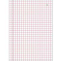 Lot de 10 Manifold quadrillé 5x5 14,8x10,5cm 50 feuil. dupli autocop. - Image 4