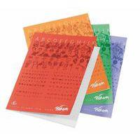 Cahier 17x22 cm 70g 96 pages seyes écolier NF 12 - Pichon