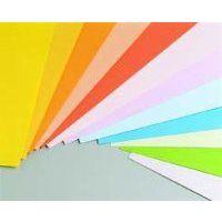 Ramette couleur vive 500 feuilles 80g A3 à la teinte - bouton d'or (abricot) - Image principale