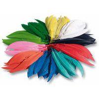 Sachet 100 gr plumes indiens
