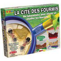 La cité des fourmis - Image principale