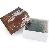 Lot de 2 boites de culture champignons de paris - Image principale