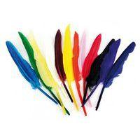 Sachet de 1000 plumes assorties