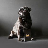 Bloc Pocket noir 7,5x12 cm 40 feuillets 5x5 80g - Image 4
