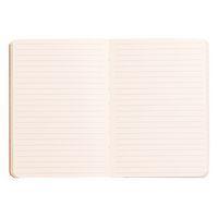 Rhodiarama carnet souple taupe A6 144 pages ligné 90g thumbnail image 3