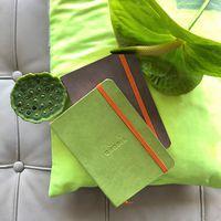 Rhodiarama carnet souple anis A6 144 pages ligné 90g thumbnail image 2