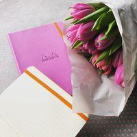 Rhodiarama carnet souple lilas A6 144 pages ligné 90g - Image 2