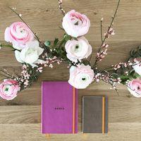 Rhodiarama carnet souple lilas A5 160 pages dot 90g - Image 3