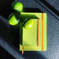 Rhodiarama carnet souple couleur anis A5 160 pages ligné 90g thumbnail image 5