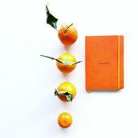 Rhodiarama carnet souple orange A5 160 pages ligné 90g thumbnail image 2