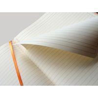 Rhodiarama cahier souple anis A4+ ligné papier ivoire 90g - Image 4