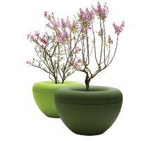 Jardinière Scoop intérieure Manga Street thumbnail image 13