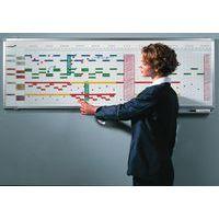 PROFESSIONAL planning annuel 12 mois 50x150cm Émail - Image 3