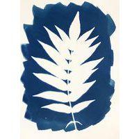 Kit 2 flacons préparation cyanotype thumbnail image 9