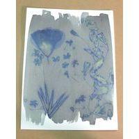 Kit 2 flacons préparation cyanotype thumbnail image 4