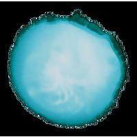 Cernit encre à l'alcool 20 ml bleu Turquoise thumbnail image 2
