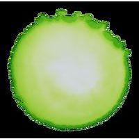 Cernit encre à l'alcool 20 ml Vert anis - Image 3