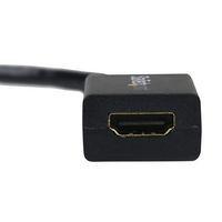 Adaptateur/Convertisseur vidéo DisplayPort vers HDMI - M/F - 1920x1200/1080p thumbnail image 2