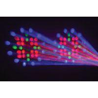 Double Moonflower Nomia LED - Image 5