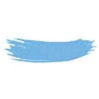 Colorant alimentaire poudre bleu métal 25g - Image principale