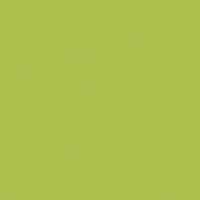 Meuble patère à cases Zébulon, coloris vert pomme - Image 2