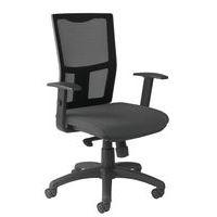 Fauteuil Ritz réglage lombaire accoudoirs réglables assise tissu coloris gris - Image principale