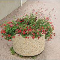 Jardinière Byblos ronde Ø 75 cm beige - ciment blanc - Image principale