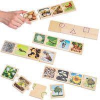 Cycle de vie - Image 2