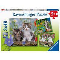 Puzzles chatons 49 pièces - Ravensburger
