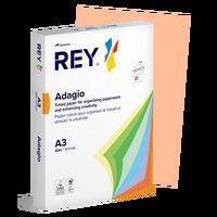 Ramette couleur vive 500 feuilles 80g A3 à la teinte - saumon (nectarine) - Image principale