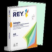 Ramette couleur vive 500 feuilles 80g A3 à la teinte - vert clair (vif) - Image principale