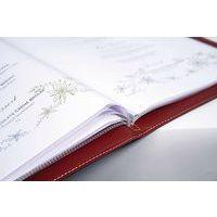 Lot de 10 inserts pour protège menu A4 transparent - Securit - Image principale