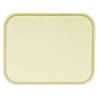 Plateau en polyester vanille-Polyone - Image principale