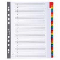 Lot de 10 Intercalaires Imprimés numériques 160g 31 pos A4 Maxi-Blanc - Image principale