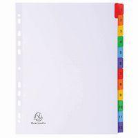 Lot de 20 Intercalaires Imprimés numériques 160g- 12 pos A4 Maxi-Blanc thumbnail image 2
