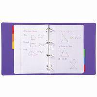 Lot de 20 Intercalaires 160g avec ong. col. Renf. 5 pos. 6 posA4-Blanc - Image 4