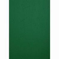Paquet de 100 couvertures Grain cuir pour reliure A4-Vert - Image 4