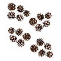 Sachet 20 petites pommes de pin