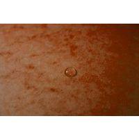 Chemise élastique et rabats A4 Orange - Image 4