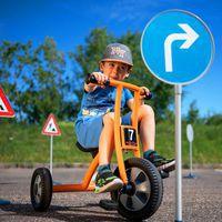 Grand tricycle gamme évolutive thumbnail image 7