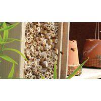 Tour hôtel à insectes toiture plate 145 cm - Image 3